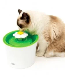 Catit 2.0 Cat Senses Flower Water Fountain 3L 3 Catit 2.0 Cat Senses Flower Water Fountain 3L