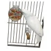 Featherland Paradise Paradise Foraging Wheel Bird Toy 17.5 X 15cm 2 Featherland Paradise Paradise Foraging Wheel Bird Toy 17.5 X 15cm -Outlet Bird Food Store 96 00613