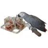Featherland Paradise Foraging 4 Corners Cage Mount Bird Toy 21.5cm -Outlet Bird Food Store 96 25722